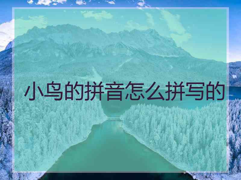 小鸟的拼音怎么拼写的