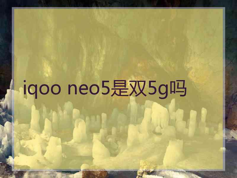 iqoo neo5是双5g吗