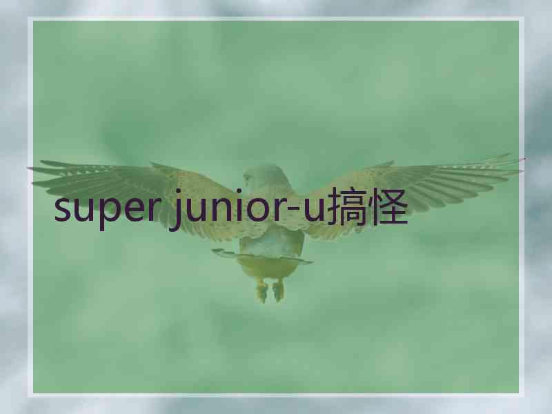 super junior-u搞怪