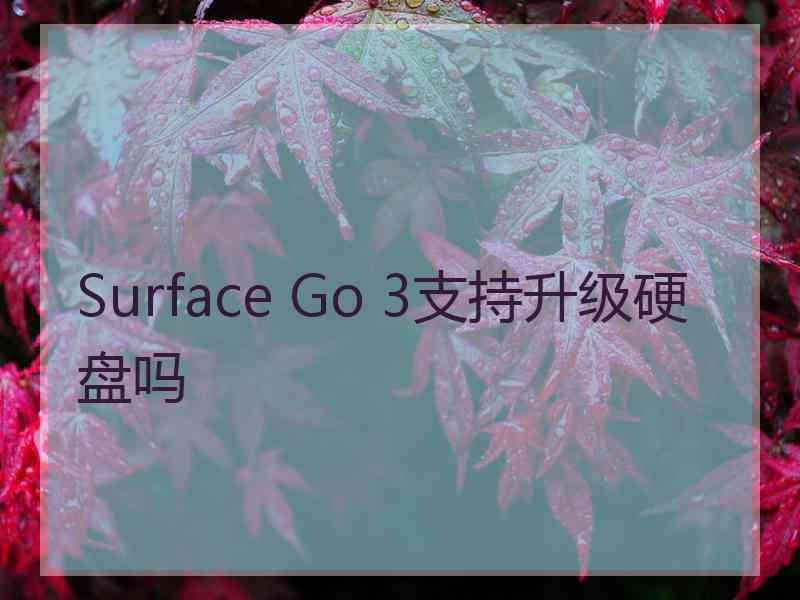 Surface Go 3支持升级硬盘吗