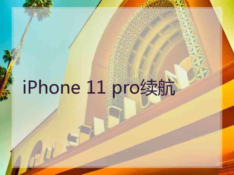 iPhone 11 pro续航