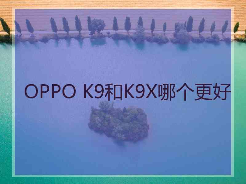 OPPO K9和K9X哪个更好