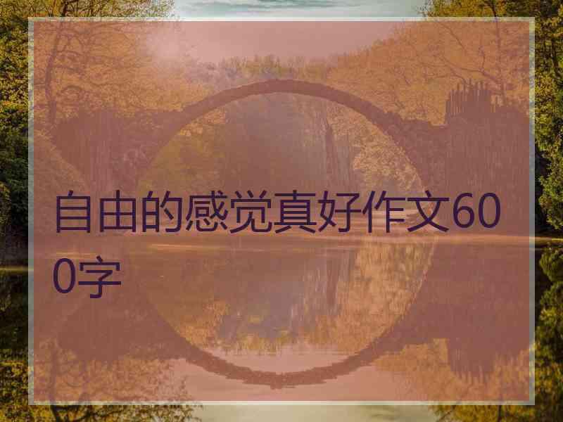 自由的感觉真好作文600字