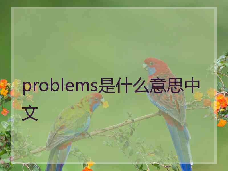 problems是什么意思中文