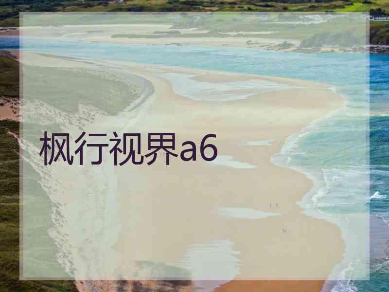 枫行视界a6