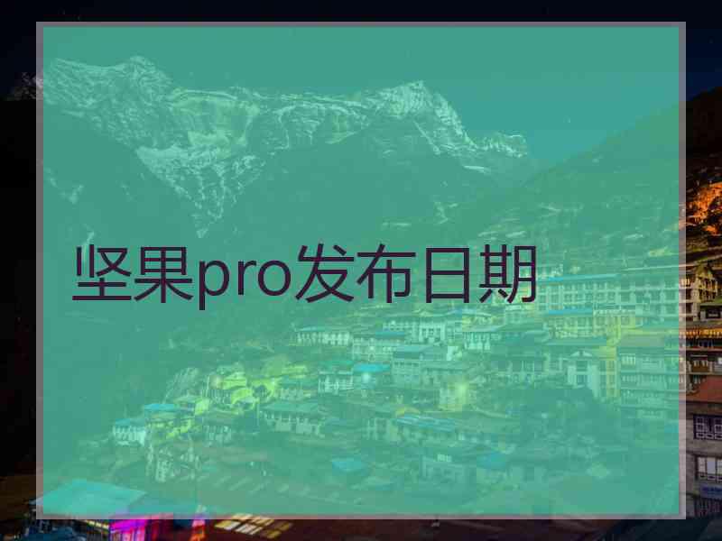 坚果pro发布日期