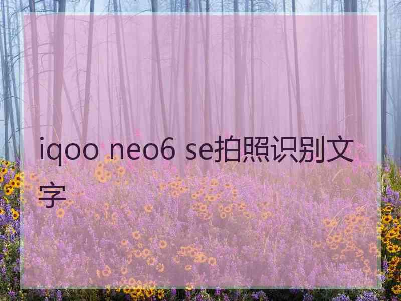 iqoo neo6 se拍照识别文字