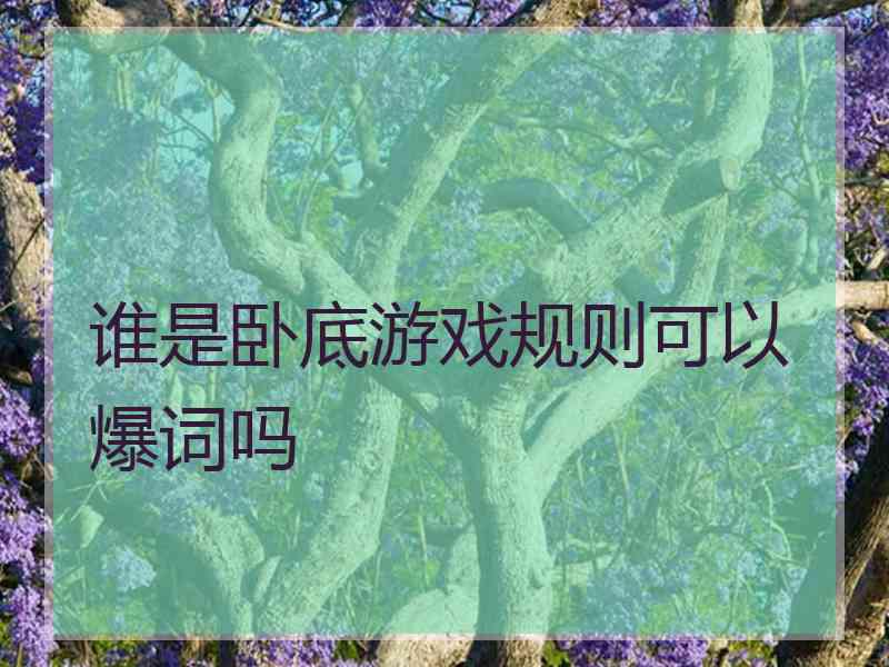 谁是卧底游戏规则可以爆词吗