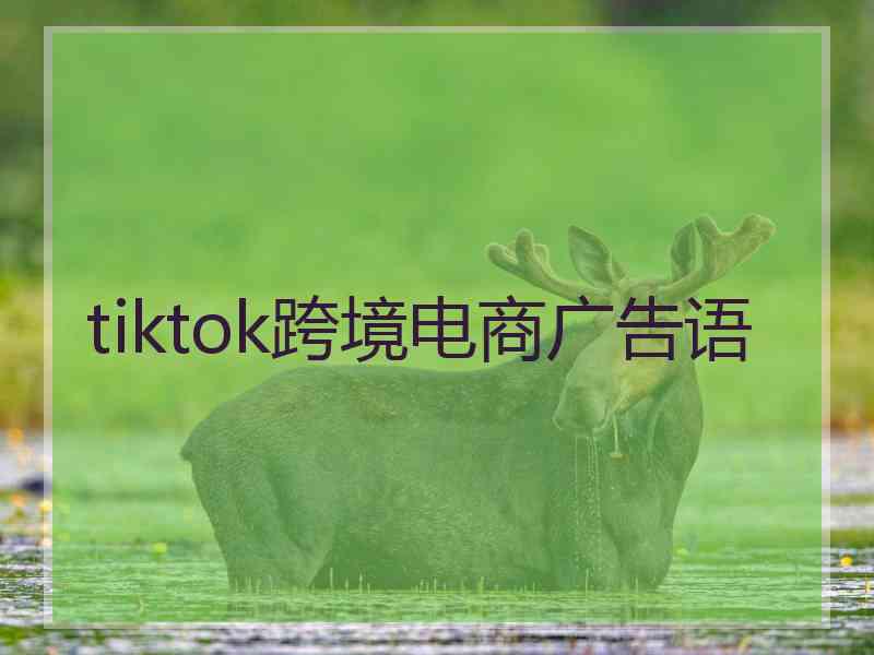 tiktok跨境电商广告语