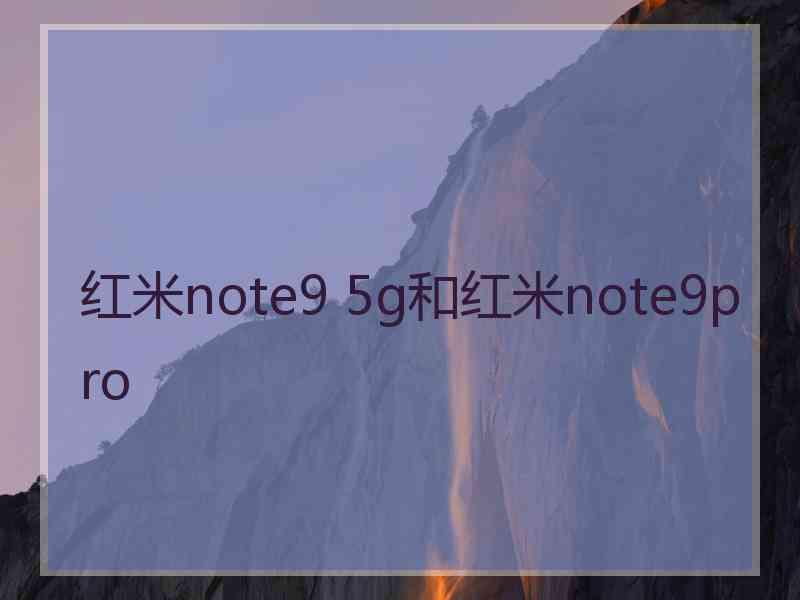 红米note9 5g和红米note9pro