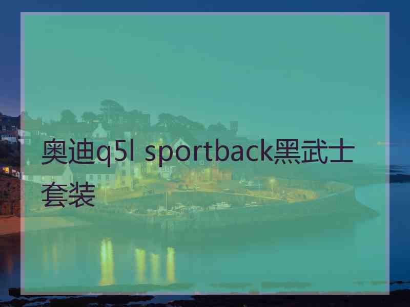 奥迪q5l sportback黑武士套装