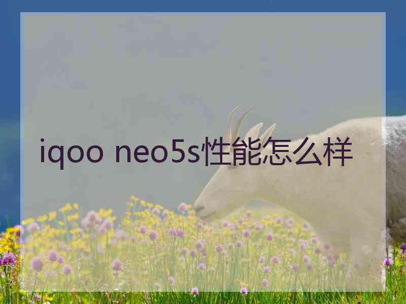 iqoo neo5s性能怎么样