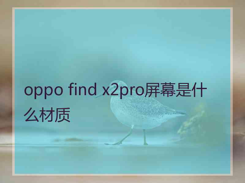 oppo find x2pro屏幕是什么材质