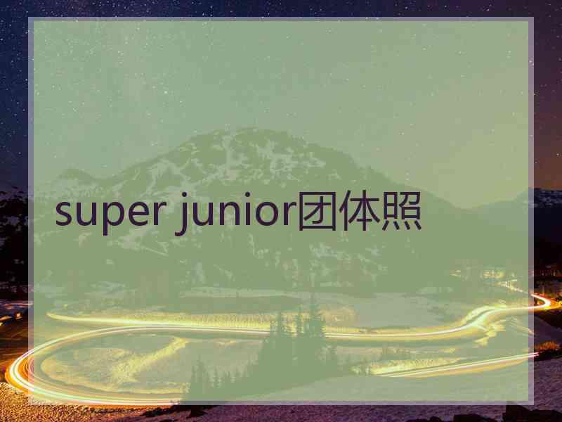 super junior团体照