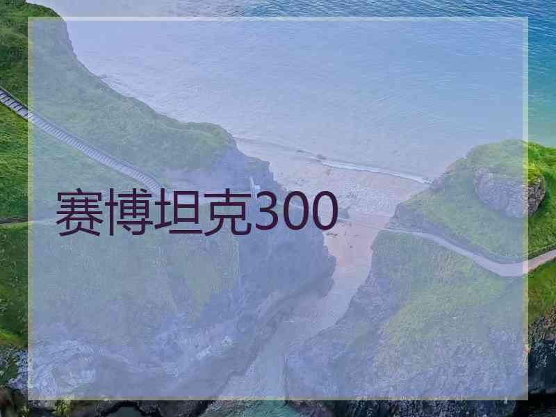 赛博坦克300