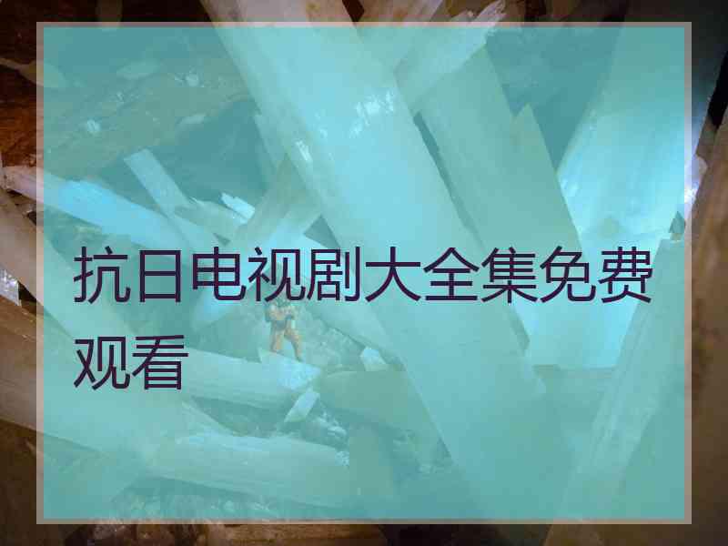 抗日电视剧大全集免费观看