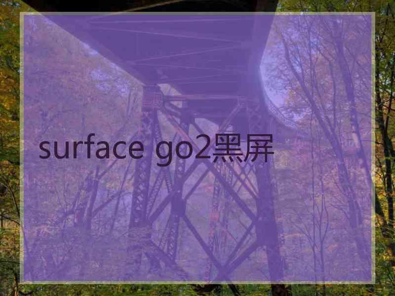 surface go2黑屏