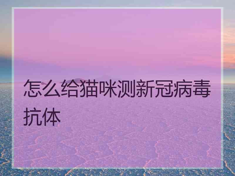 怎么给猫咪测新冠病毒抗体