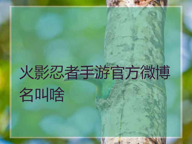 火影忍者手游官方微博名叫啥