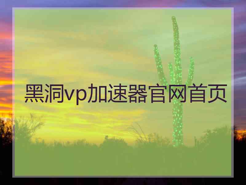 黑洞vp加速器官网首页