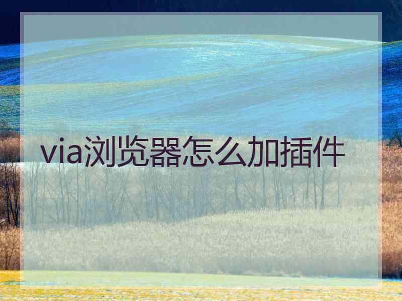 via浏览器怎么加插件