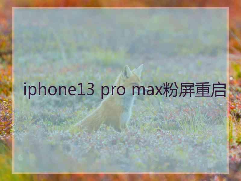 iphone13 pro max粉屏重启