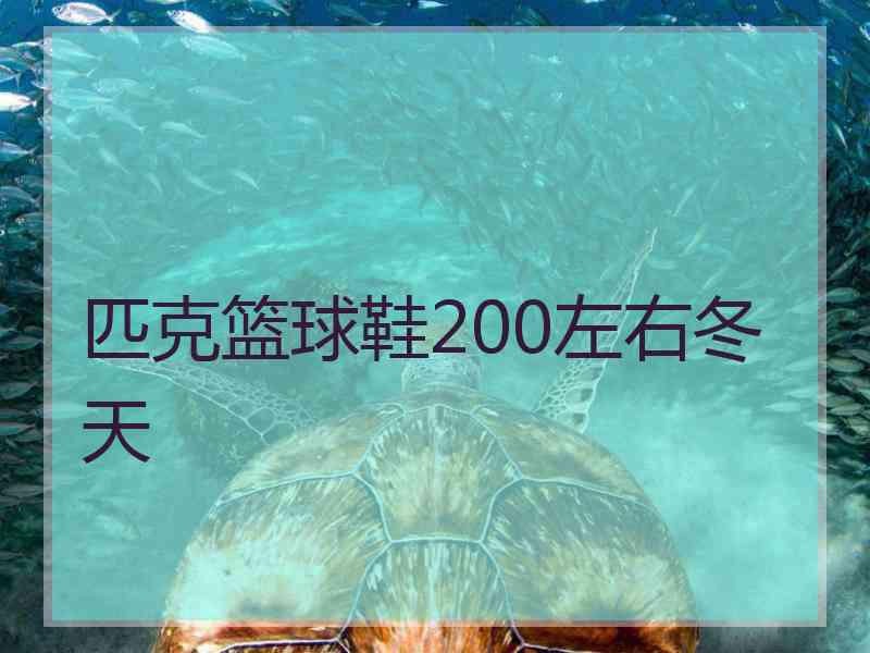 匹克篮球鞋200左右冬天