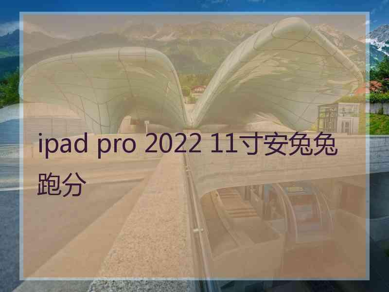 ipad pro 2022 11寸安兔兔跑分