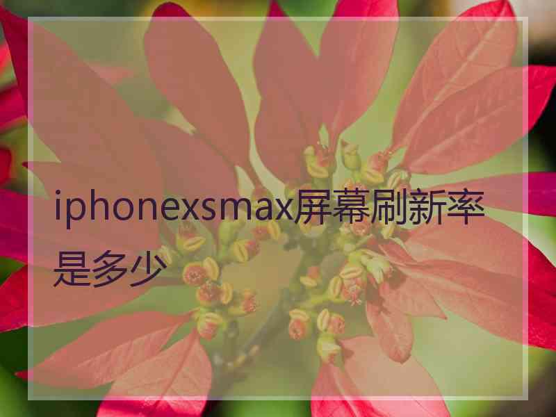 iphonexsmax屏幕刷新率是多少