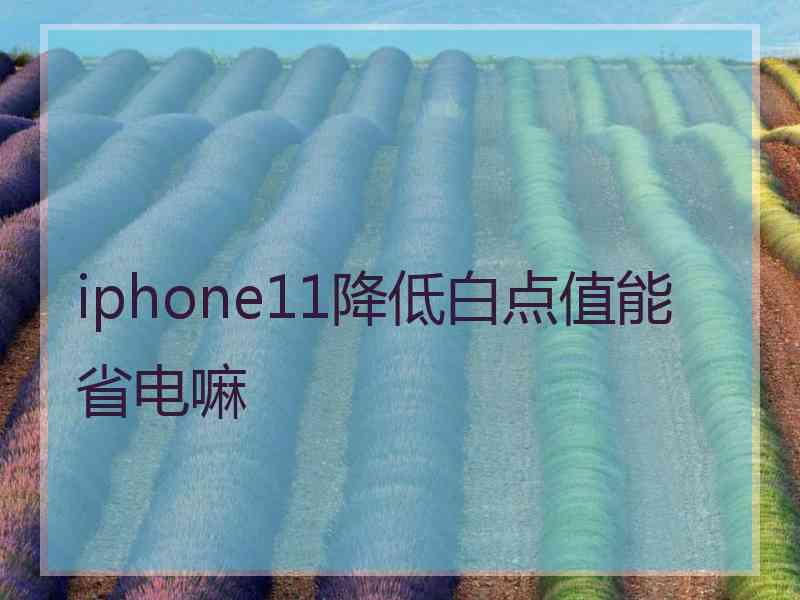 iphone11降低白点值能省电嘛