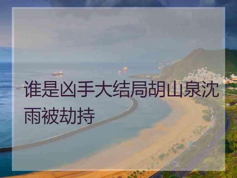 谁是凶手大结局胡山泉沈雨被劫持