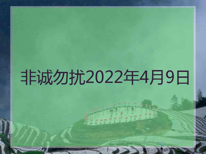 非诚勿扰2022年4月9日