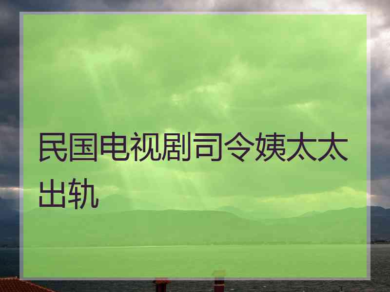 民国电视剧司令姨太太出轨