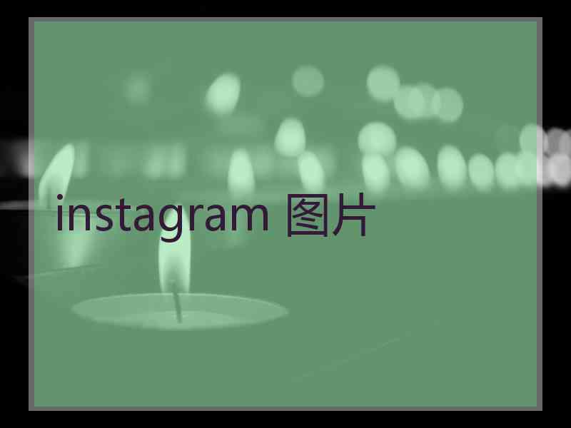 instagram 图片