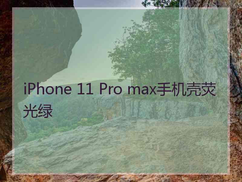 iPhone 11 Pro max手机壳荧光绿