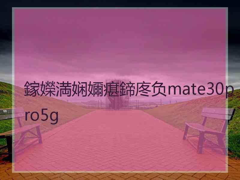 鎵嬫満娴嬭瘎鍗庝负mate30pro5g