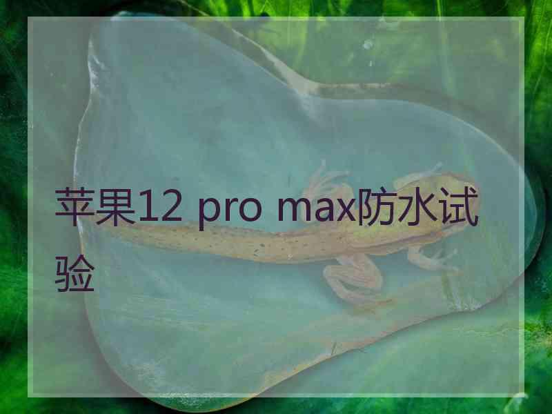 苹果12 pro max防水试验