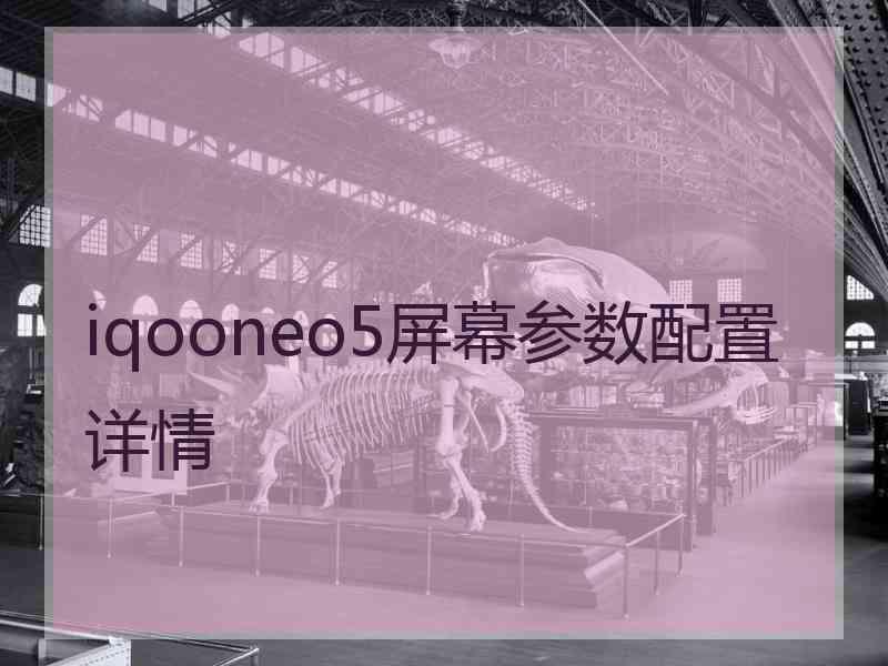 iqooneo5屏幕参数配置详情