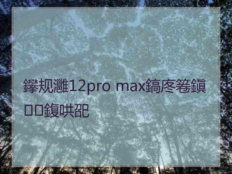 鑻规灉12pro max鎬庝箞鎭㈠鍑哄巶