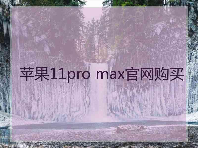 苹果11pro max官网购买