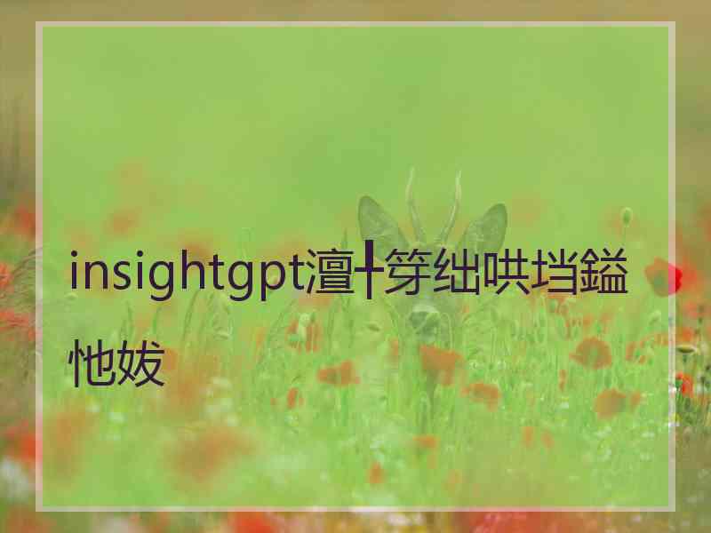 insightgpt澶╀笌绌哄垱鎰忚妭