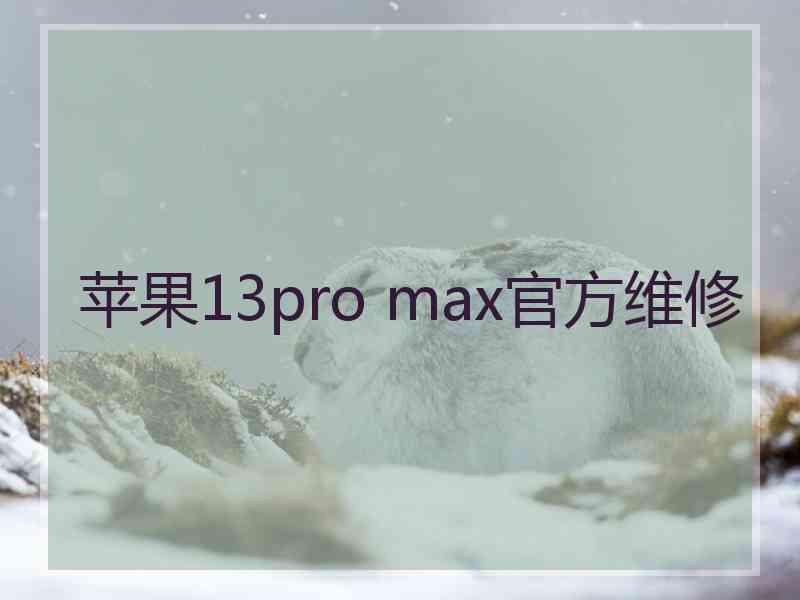 苹果13pro max官方维修