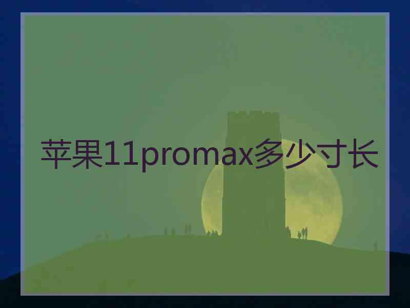 苹果11promax多少寸长