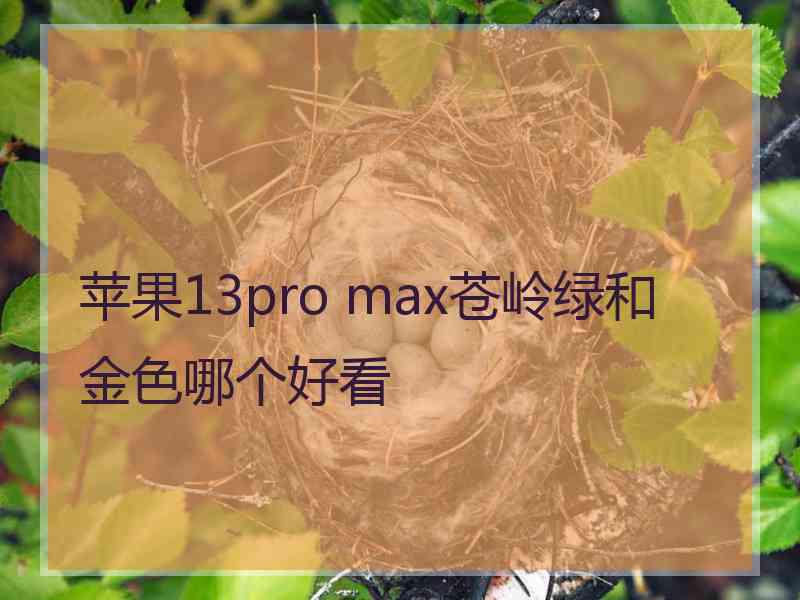 苹果13pro max苍岭绿和金色哪个好看