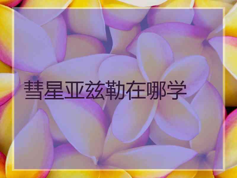 彗星亚兹勒在哪学