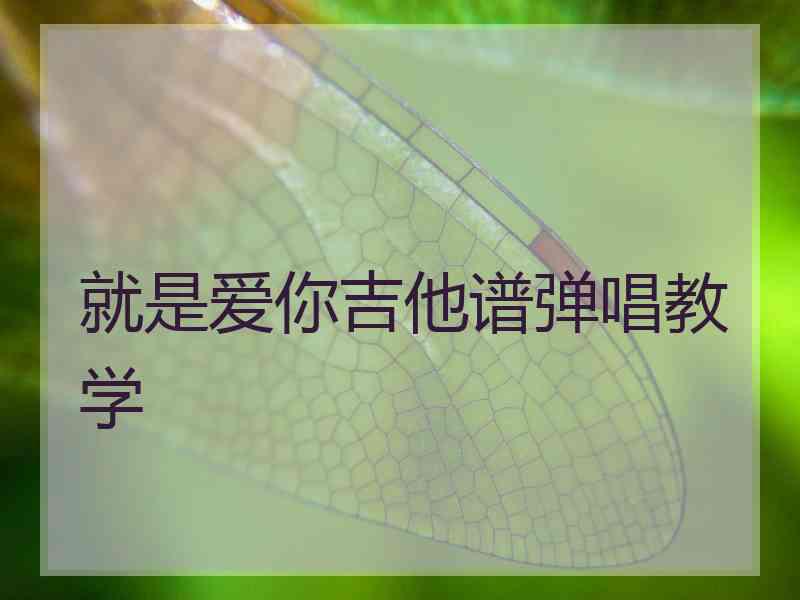 就是爱你吉他谱弹唱教学