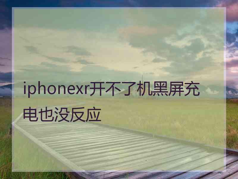 iphonexr开不了机黑屏充电也没反应