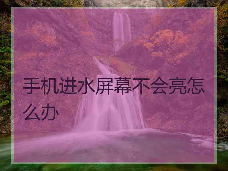 手机进水屏幕不会亮怎么办