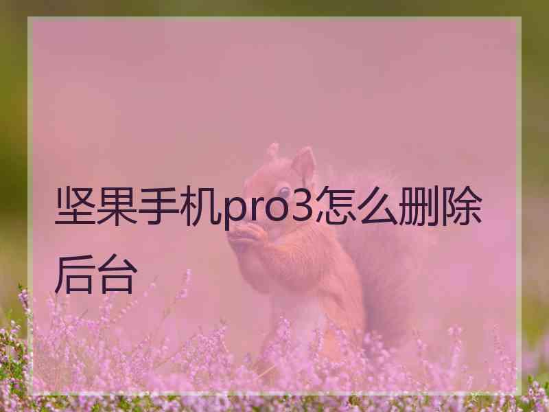 坚果手机pro3怎么删除后台