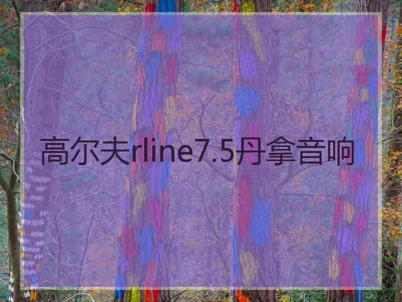 高尔夫rline7.5丹拿音响